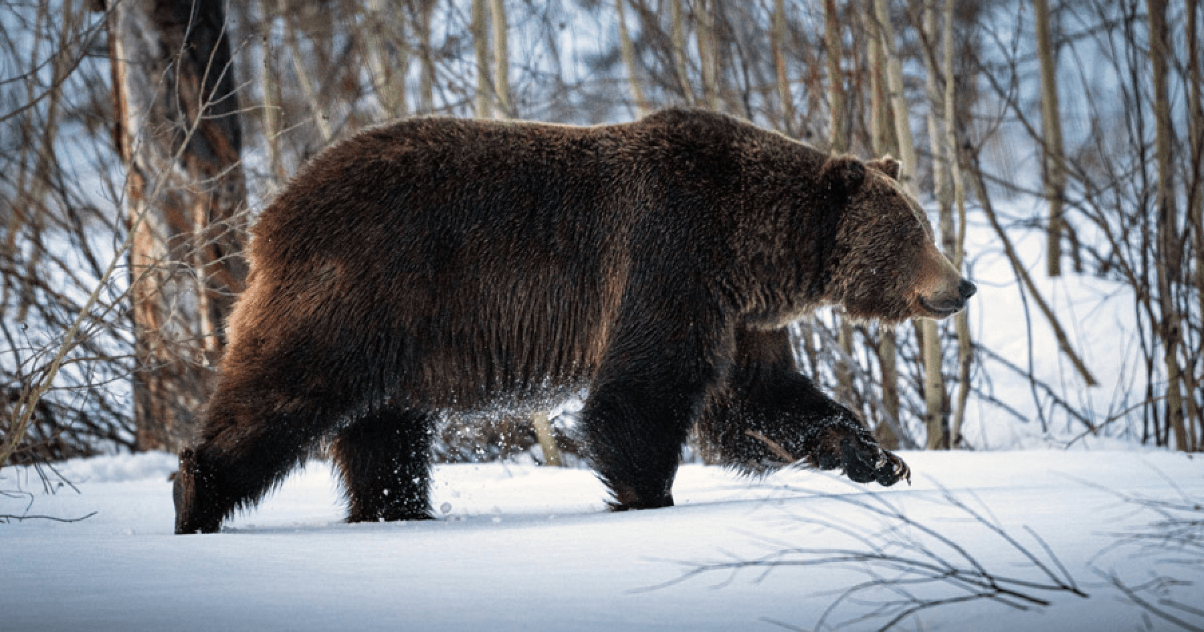 FTX 和幣安引發的一連串事件，除了造成 $FTT 崩盤外，也牽連整個加密市場，這會不會讓加密寒冬變得更雪上加霜？ 幣圈巨震！分析：FTX 破產恐慌或延長熊市週期