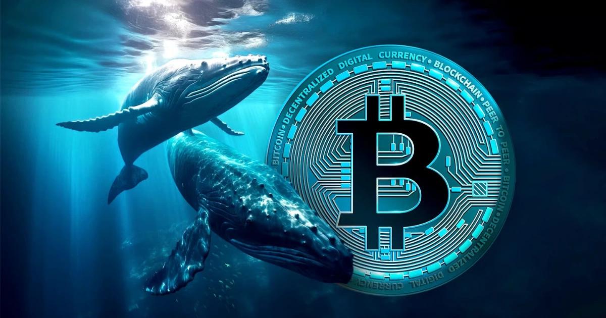 無懼連跌！Bitfinex巨鯨加倍押注比特幣，槓桿多單創2年半新高比特幣連跌 5 日至 7.6 萬美元。交易所 Bitfinex 槓桿多單逆勢飆至兩年半新高，顯示大戶持續逢低吸納籌碼。