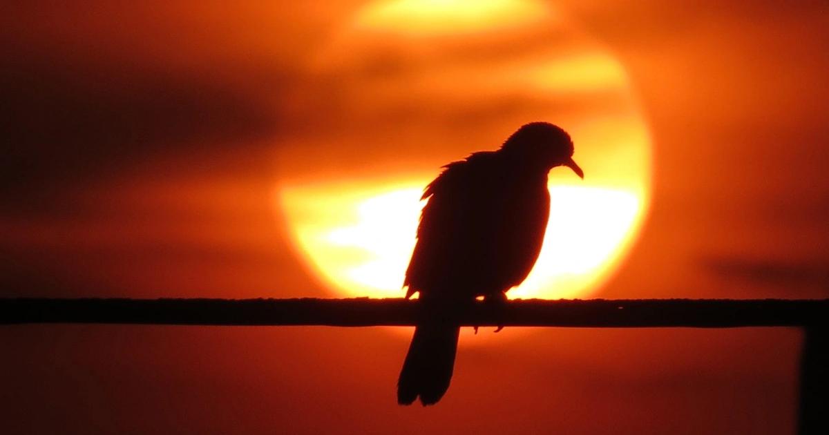 崩盤前兩週就發警告！交易員Eugene再看空：山寨幣將凋零、DAT掰掰「鴿子」交易員Eugene曾預言比特幣將跌回10萬美元，史上最大爆倉發生後，他再預測山寨幣將凋零，DAT敘事將終結，市場將面臨連鎖反應。