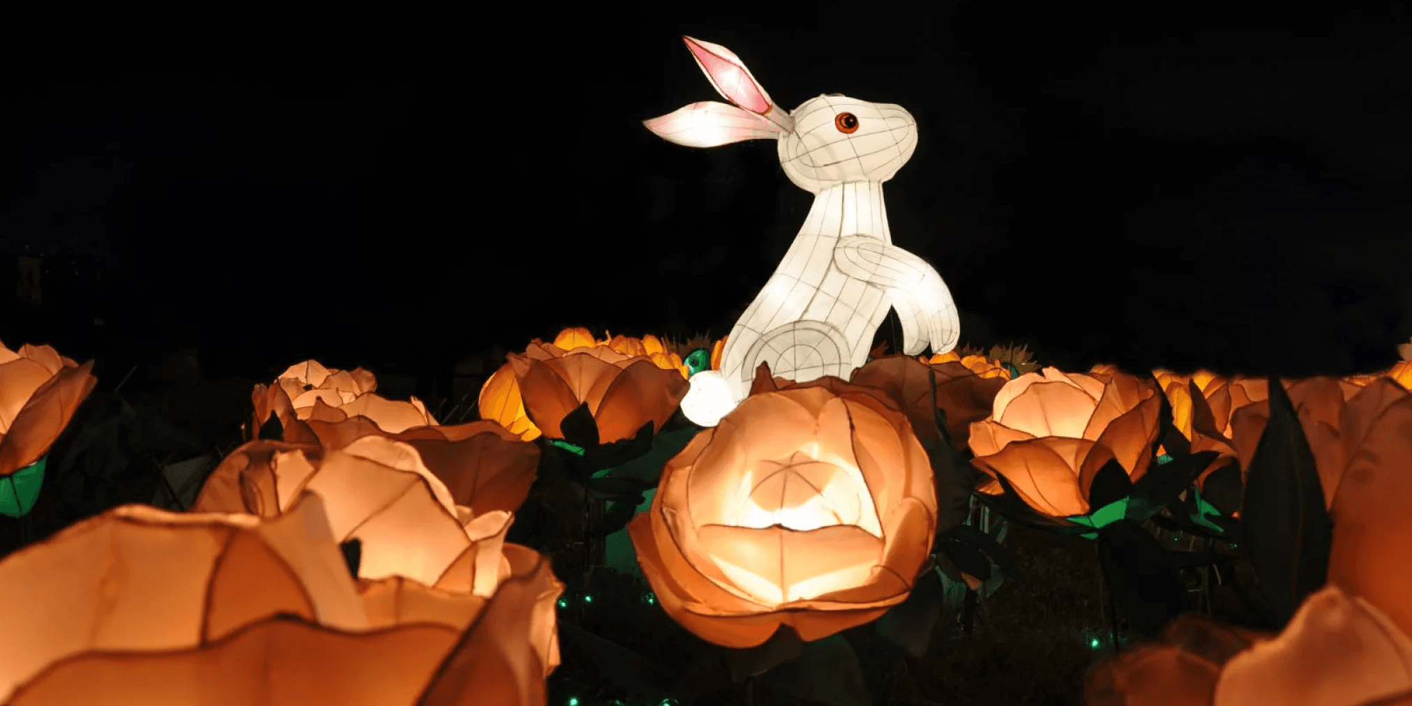 中秋節概念幣-LUNA幣-暴漲