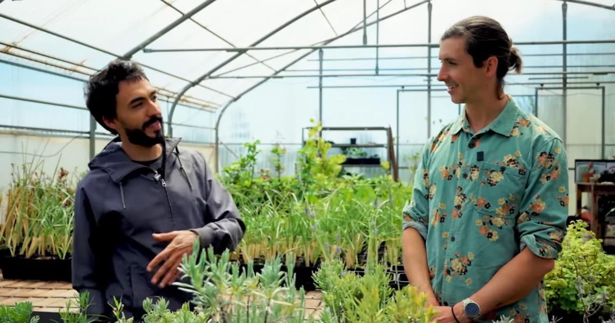 比特幣挖礦也可以很環保！當大家都說挖礦浪費資源，他卻種出有機香草｜葡萄牙馬德拉島有機農場引進比特幣礦機，利用其排出的廢熱為溫室穩定供暖並降低濕度，成功以綠色創新實踐永續農業。