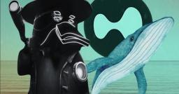 50倍槓桿巨鯨是誰？偵探揭露本人照：竟是前科累累駭客＋賭徒？