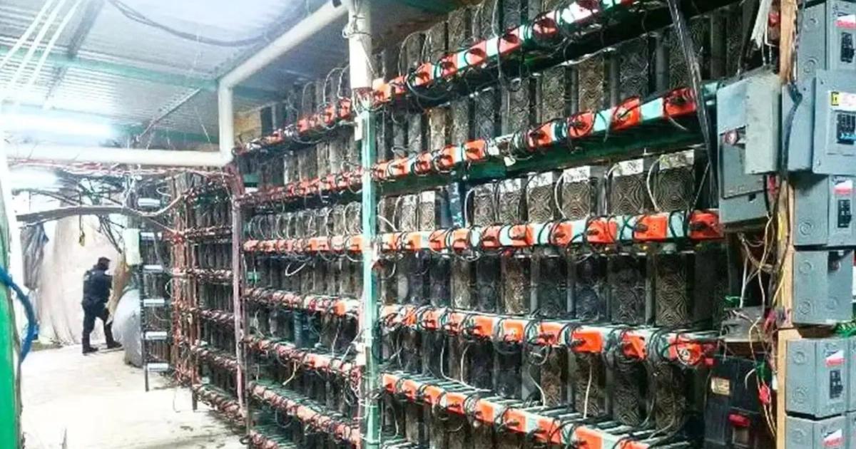 毒梟集團跑去挖礦！墨西哥查扣300張GPU顯卡，深山驚見加密挖礦農場