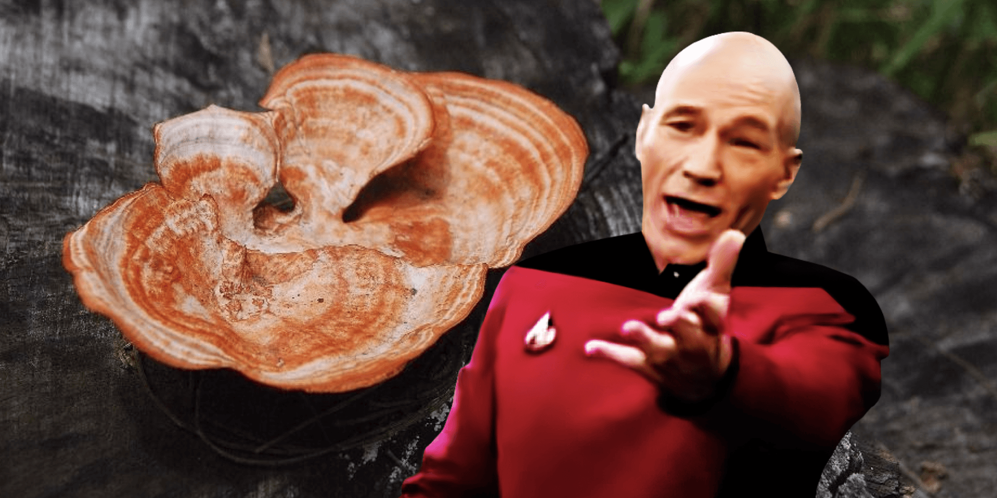 台中一名田姓老婦人要臨櫃領取 3 萬元台幣，聲稱要投資外匯，機警行員報警後才發現，這竟然不是老婦人第一次被騙？ 所有詐騙都來一次？台中老婦熱衷網路投資，從牛樟芝一路被騙到加密貨幣