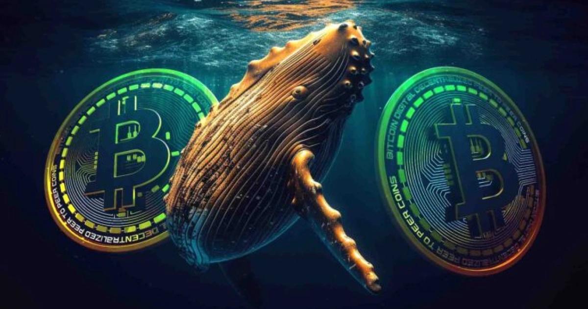 神秘巨鯨崩盤前開空單暴賺1.5億鎂！現又開空單，是某交易所前CEO？神秘巨鯨在崩盤前精準開空單，獲利逾 1.5 億美元，佈局時機僅差川普關稅推文一分鐘。該巨鯨現又開新空單。社群懷疑其涉內線交易，並追查身份疑似與某交易所前CEO有關。