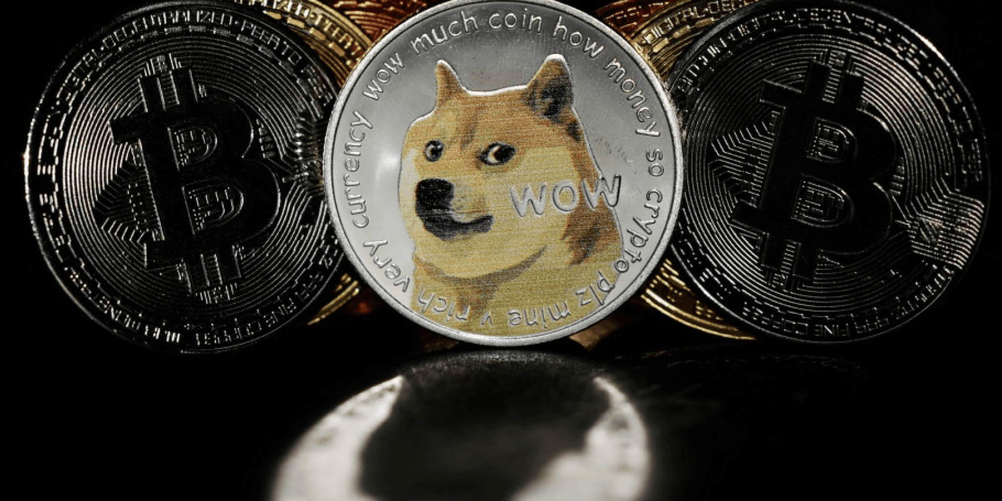 狗狗幣單日暴漲8%！分析師：還能狂漲80倍，有望一路飆到「這點位」