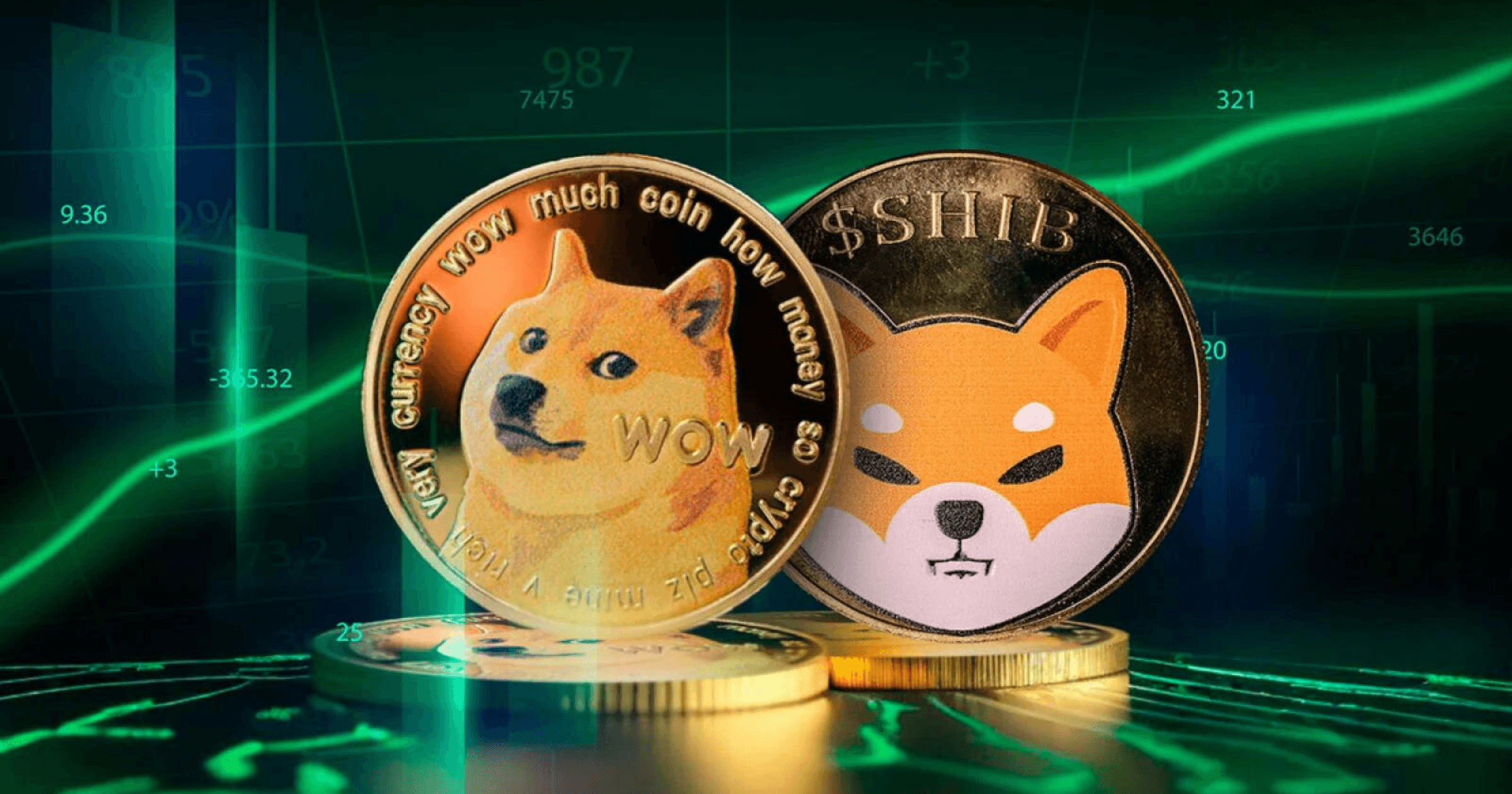 狗狗幣 VS 柴犬幣，哪一隻狗狗有望挑戰「今年最強」吉祥物！狗狗幣以搞笑形象親民，市值領先；柴犬幣聚焦技術與生態建設，展現發展潛力。兩者均有大社群支持，是迷因幣市場的重要角色。