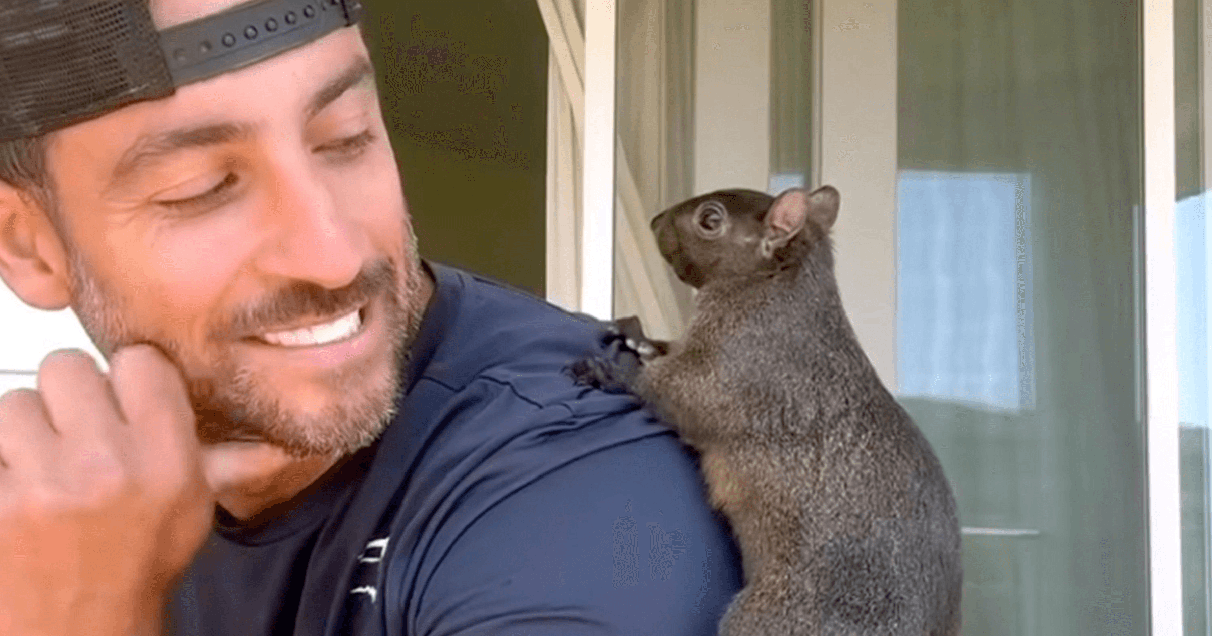 Peanut-松鼠-迷因幣-社交媒體