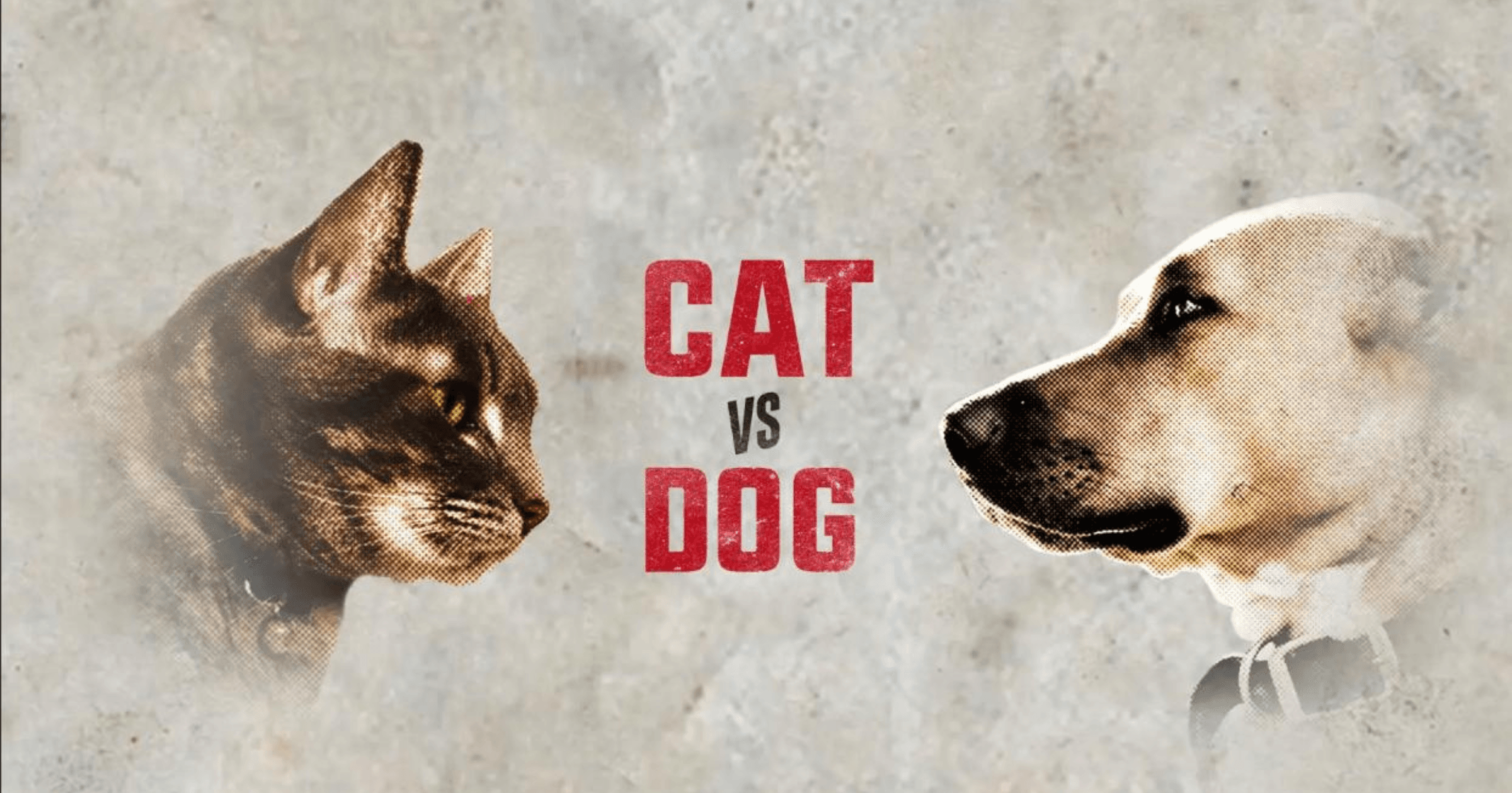 迷因幣市場的貓派與狗派競爭激烈。貓派迷因幣如 Popcat 和 Mog Coin逐漸崭露頭角,而狗派迷因幣如狗狗幣和柴犬幣已建立穩固地位。2024 年,迷因幣的成功將取決於社群支持度和創新應用。你是貓派還是狗派?讓 ChatGPT 告訴你,2024 最強迷因幣是哪一派?